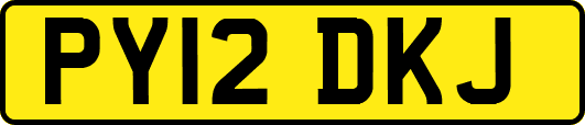 PY12DKJ