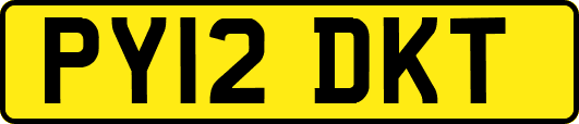 PY12DKT
