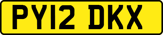 PY12DKX