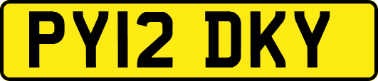 PY12DKY