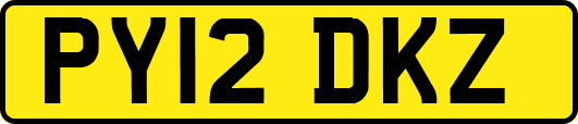 PY12DKZ