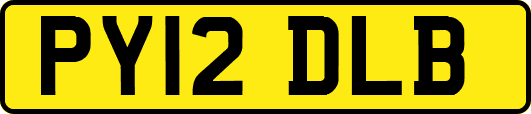 PY12DLB