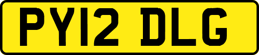 PY12DLG