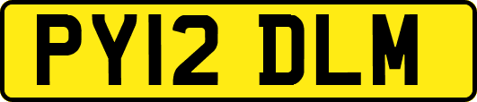 PY12DLM