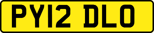 PY12DLO