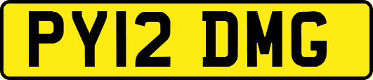 PY12DMG