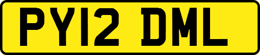 PY12DML