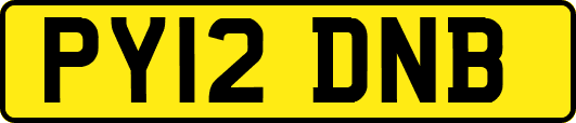 PY12DNB