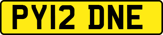 PY12DNE