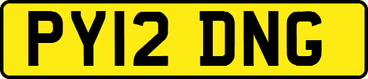 PY12DNG