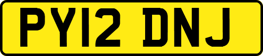 PY12DNJ