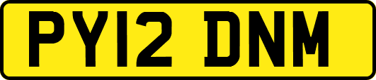 PY12DNM