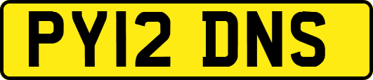 PY12DNS
