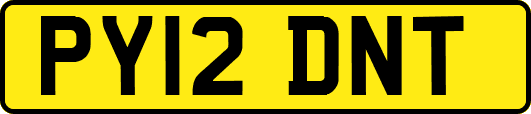 PY12DNT