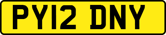 PY12DNY