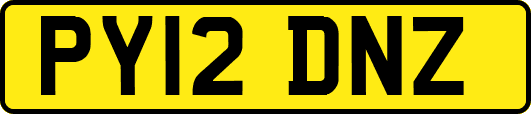 PY12DNZ