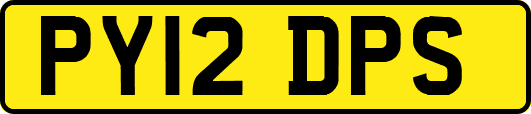PY12DPS