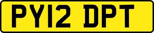 PY12DPT