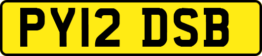 PY12DSB