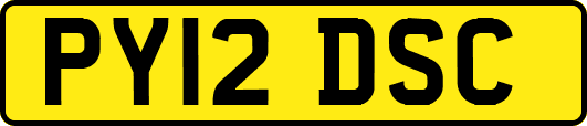 PY12DSC