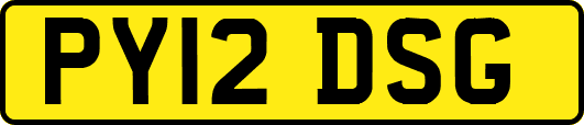 PY12DSG