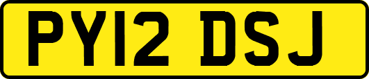 PY12DSJ