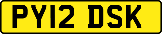 PY12DSK