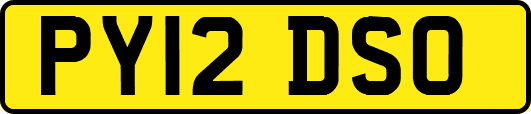 PY12DSO