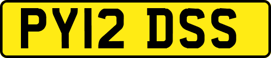 PY12DSS