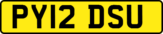 PY12DSU