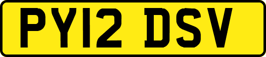 PY12DSV