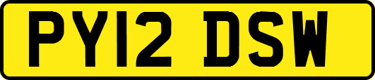 PY12DSW