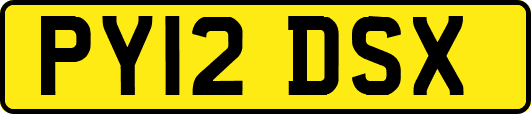 PY12DSX