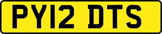 PY12DTS