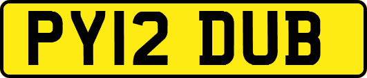 PY12DUB