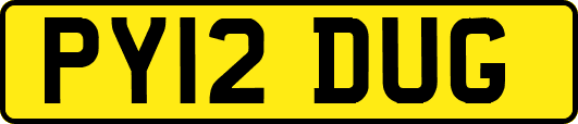 PY12DUG