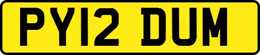 PY12DUM