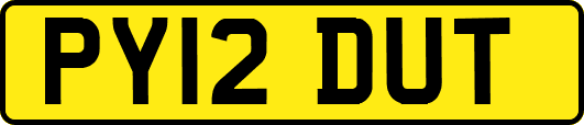 PY12DUT
