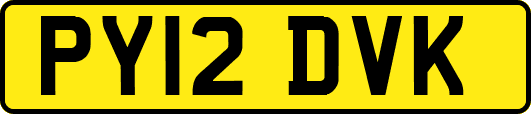 PY12DVK