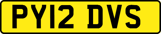 PY12DVS
