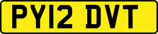 PY12DVT