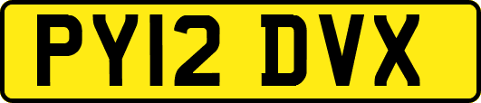 PY12DVX