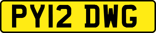 PY12DWG