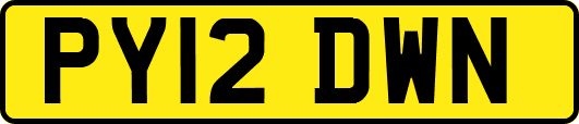 PY12DWN