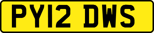 PY12DWS