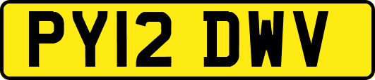 PY12DWV