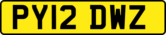 PY12DWZ