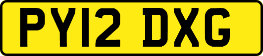 PY12DXG