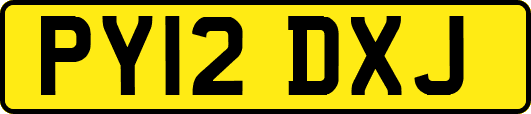 PY12DXJ