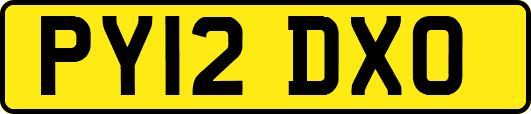PY12DXO
